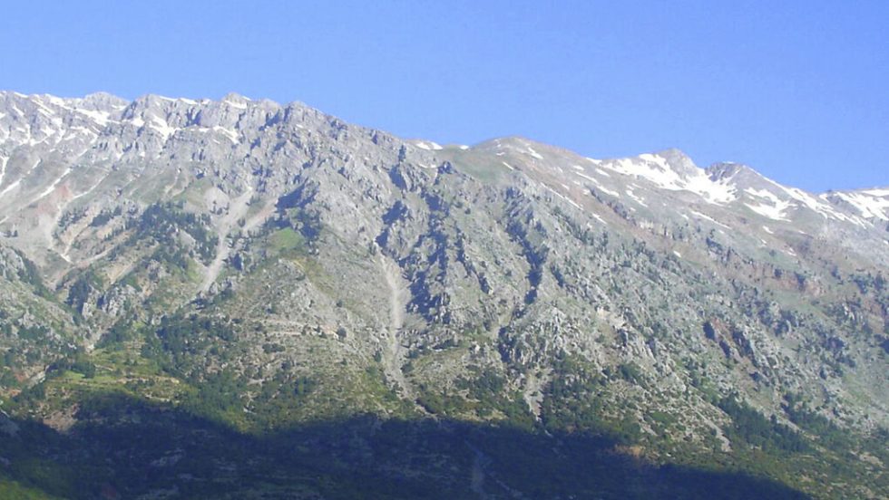 vardousia a